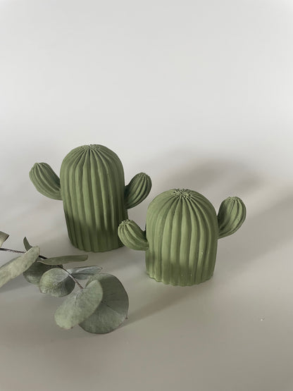 Cactus - Joy (Lot de 2)