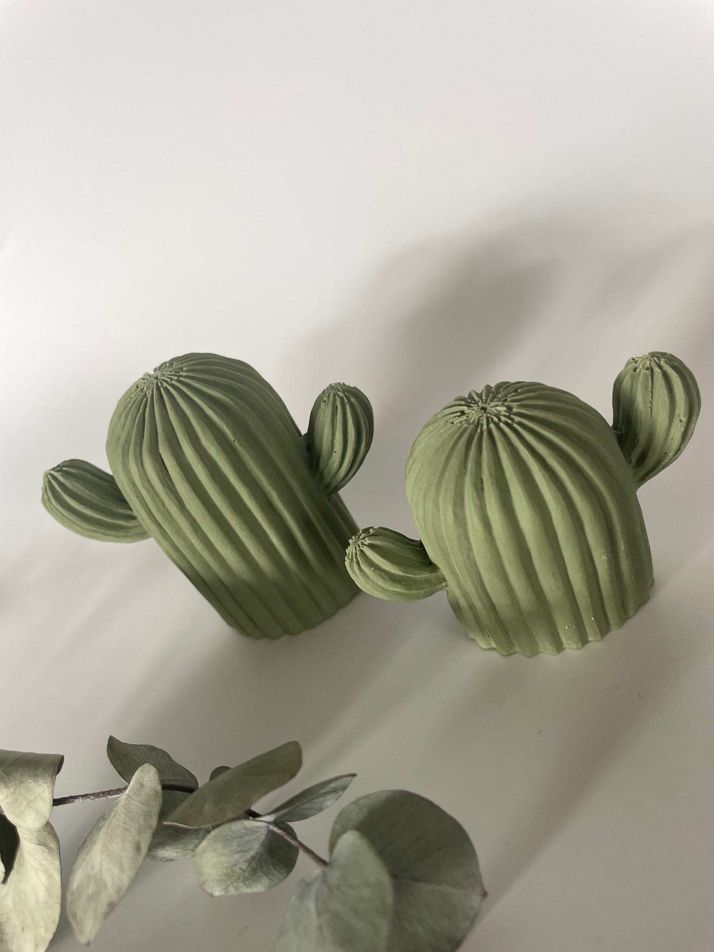 Cactus - Joy (Lot de 2)